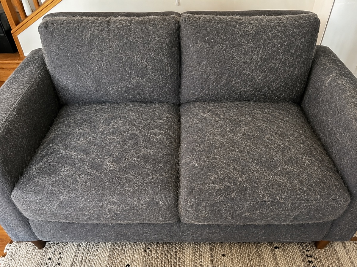 Sillón lleno de pelos de mascota, antes de usar el rodillo Mishu