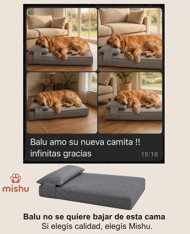 Cliente de Mishu contando por WhatsApp que su perro Balu ama su nueva camita, con fotos del golden retriever durmiendo en la cama